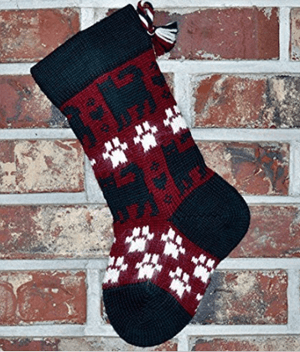 catstocking