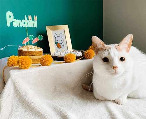 panchini