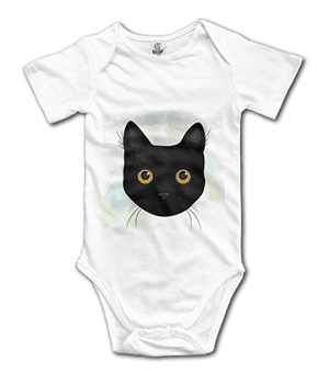 catonesies