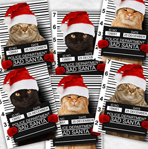 catchristmascards