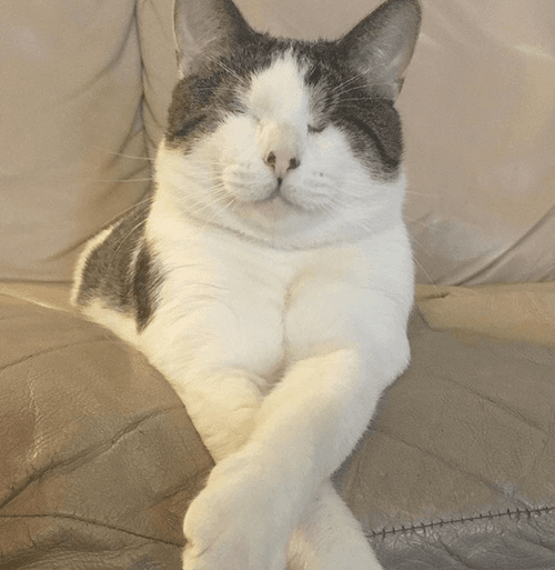 melvin