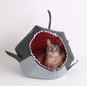 catbed