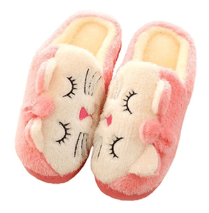 catslippers