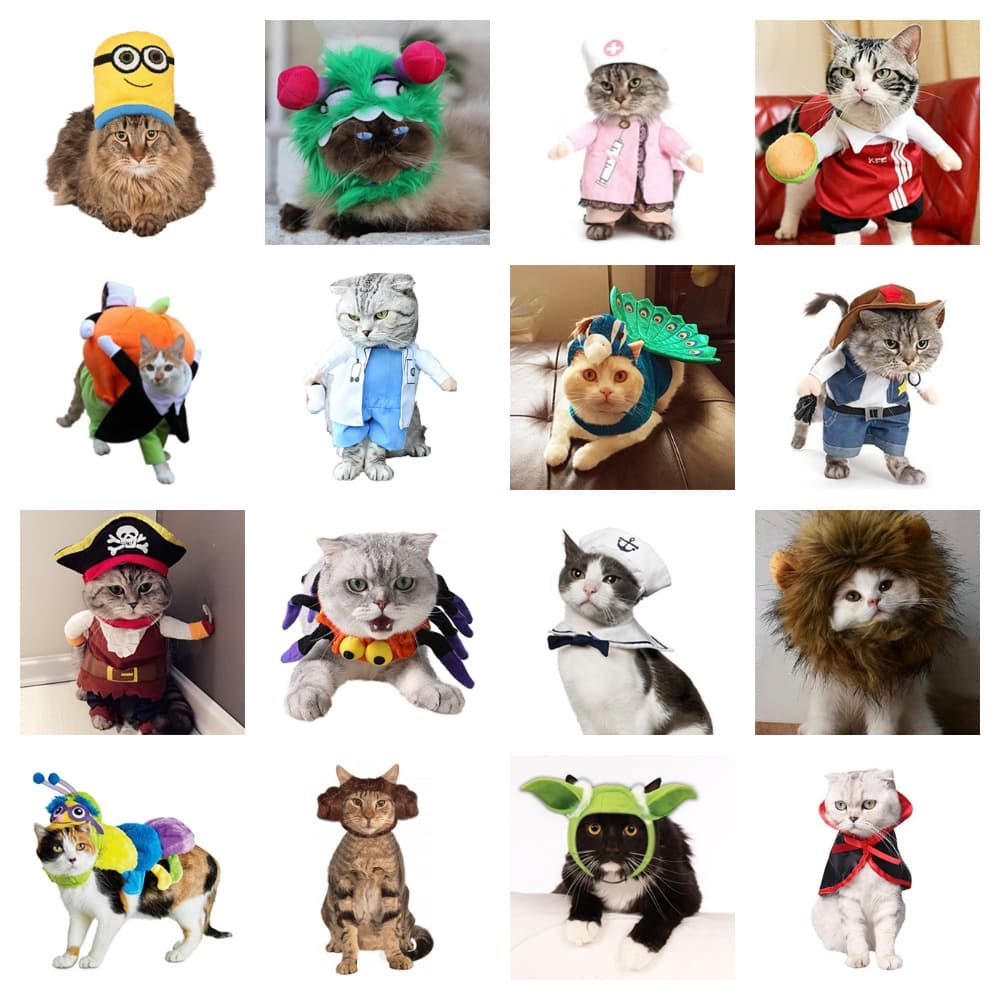 halloween costumes cats feature