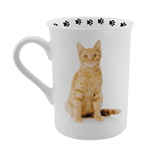 orangecatmug