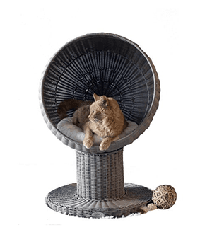 catbed