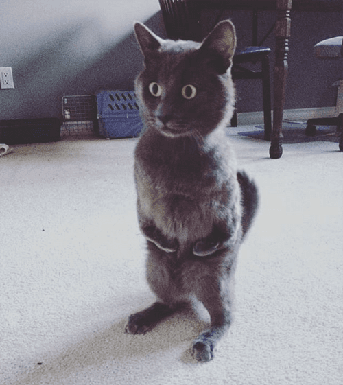 misterb