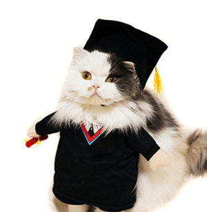 catcostume