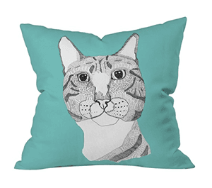 pillow