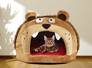 catbed