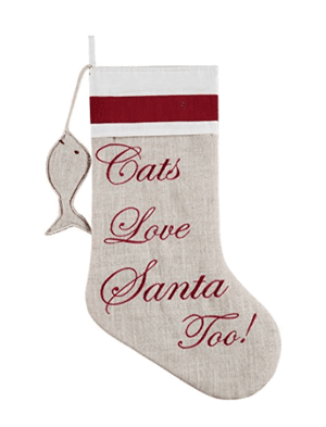 catstocking