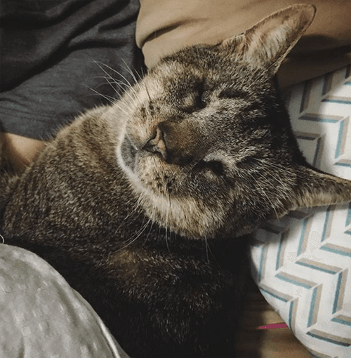 morty