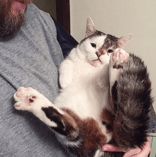 bub