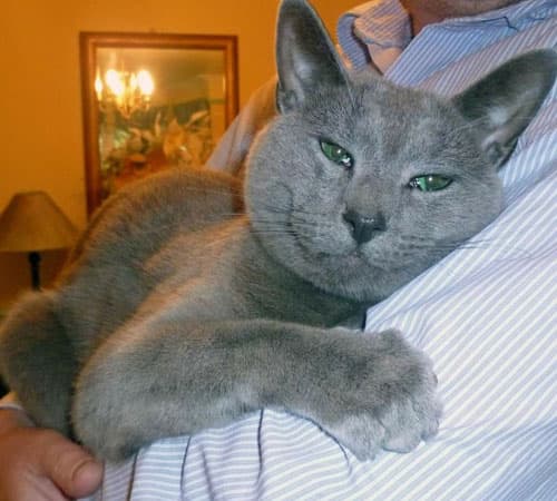 Boris
