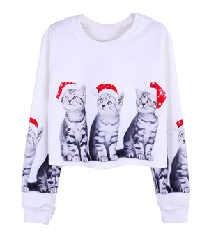 catsweatshirt