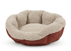 catbed