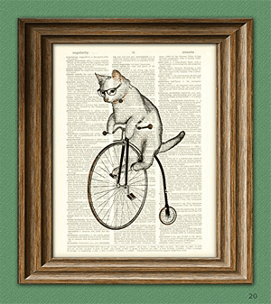 cats