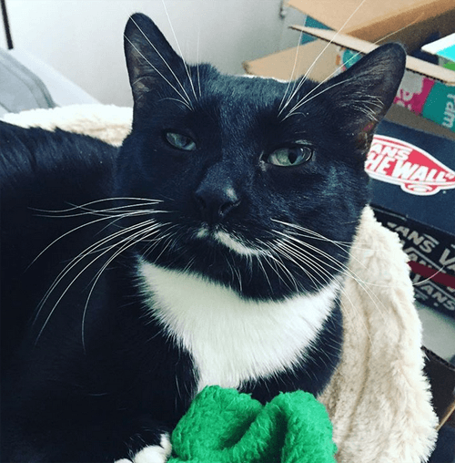 jack
