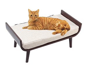 midcenturycat