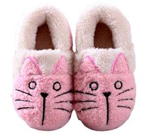 catslippers