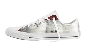 catshoes