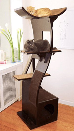 cattree
