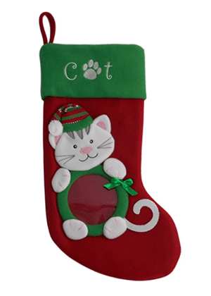 catstocking