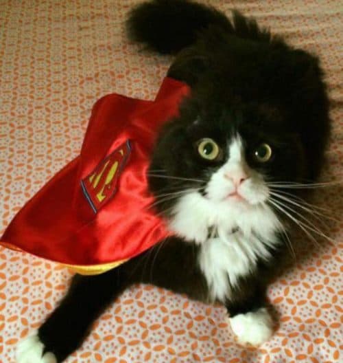 superman