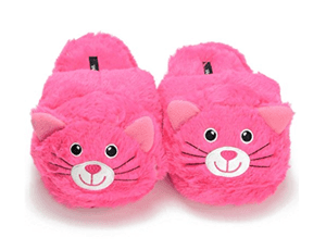 catslippers