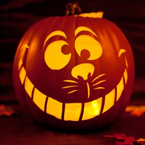 catpumpkin