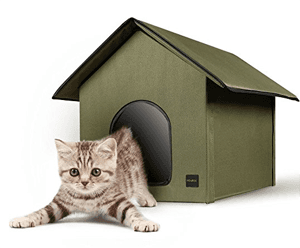 cathouse