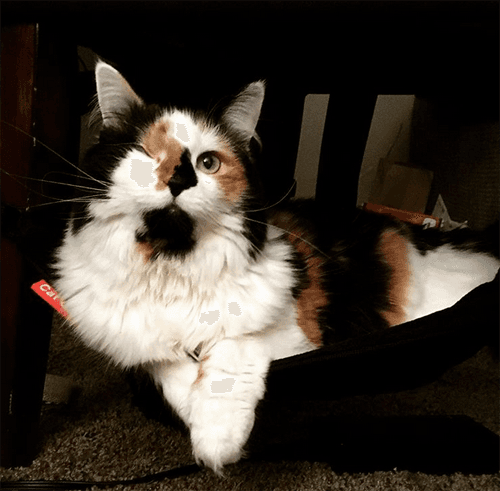 lunahobbes