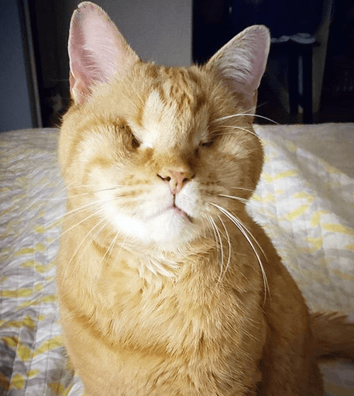 darwin