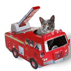 cardboardcathouse