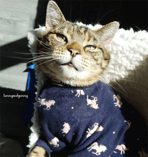 leo