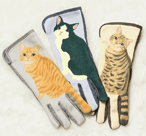 gloves