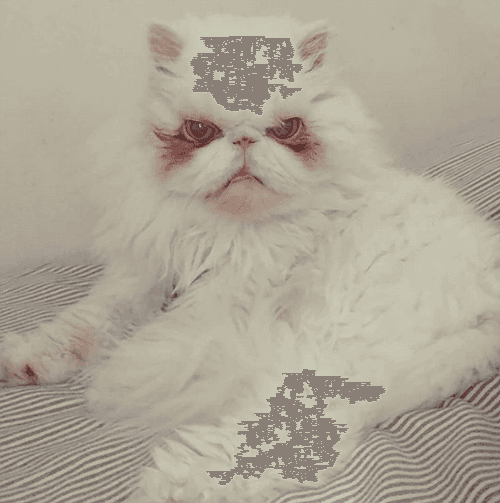 sinbad