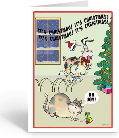 49