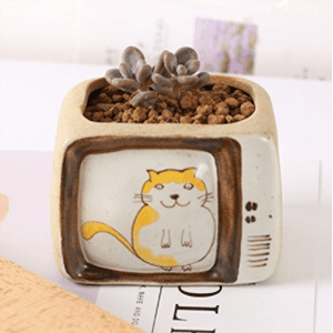 catplanter