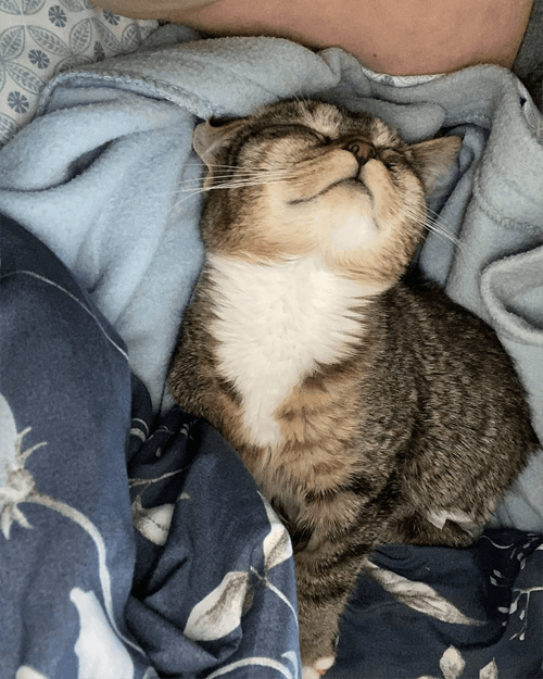 fiona