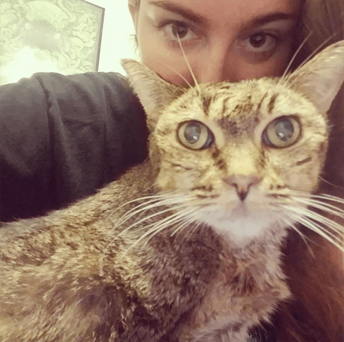 mitsy
