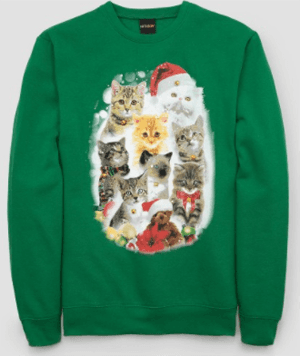 catsweatshirt