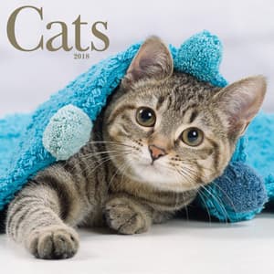 catcalendar