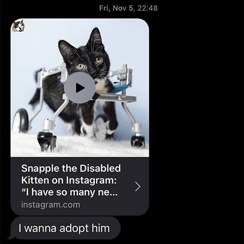 snappletext