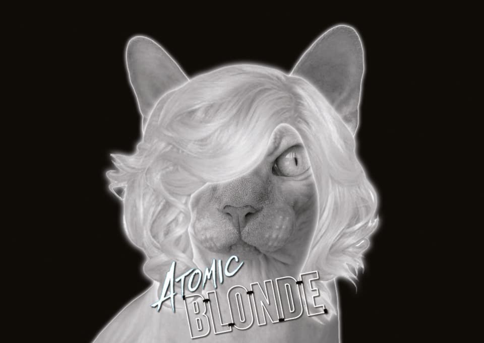 atomic blonde cats feature