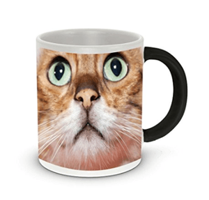 orangecatmug