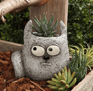 catplanter