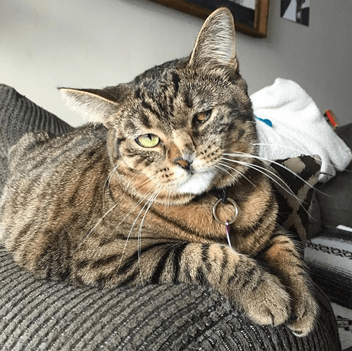 nora