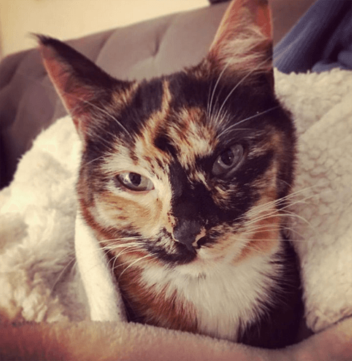 bobbi