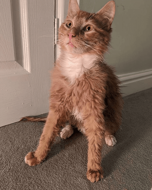 pablo